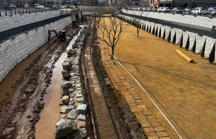 "몇 날이나 지났다고"… 다시 갈아엎는 신대천 잔디